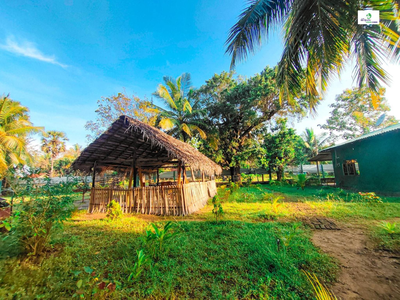 Wilpattu Green Cabin