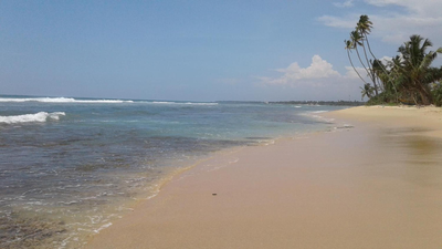 Arogya Resort