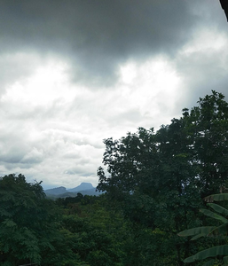 Nature's Nest Homestay