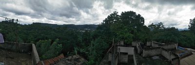 Nature's Nest Homestay