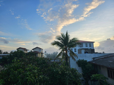 Oceanic Shades - Mount Lavinia