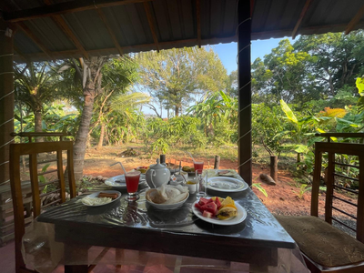 Yashi's Place Sigiriya