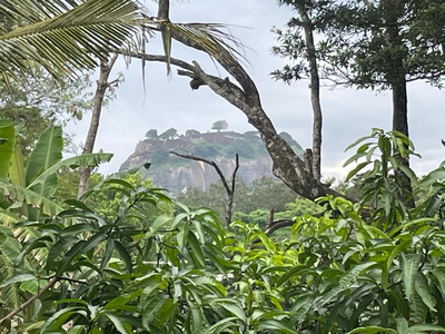 Yashi's Place Sigiriya