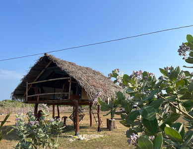 Delft beachfront villa