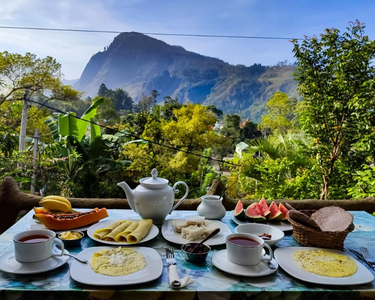 Eden View Ella - Tour options in the area