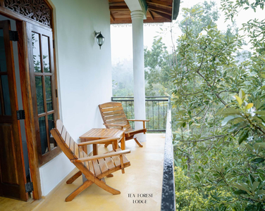 Tea Forest Lodge