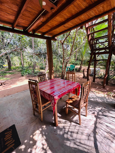 Sigiri Lodge Tree House