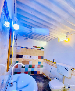 Reggae paradise hostel