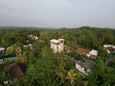 Jungle Heights Weligama