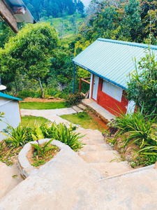 OYA LANGA HENA - Madrid camping site