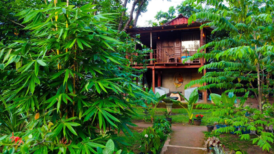 Nature Rest Ashored