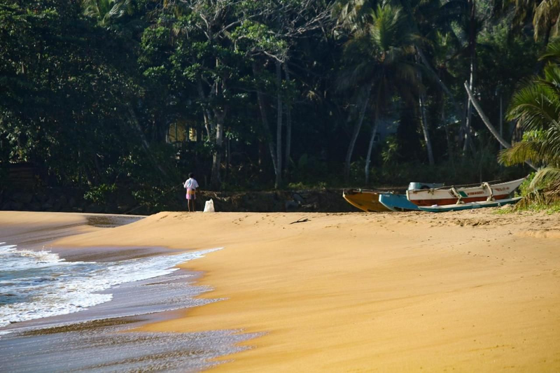 Beach Raised Guest House