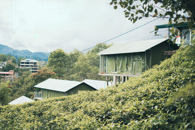 Radiance Ella Urban Camping