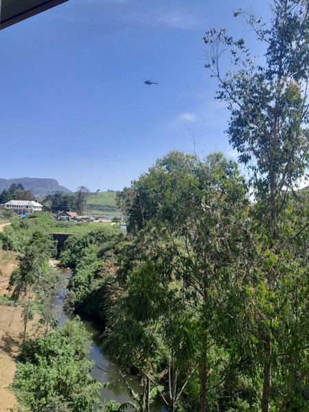 Gregory jungle inn