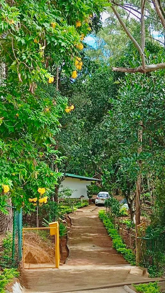 Serenity at Natures Nest - Entire Home
