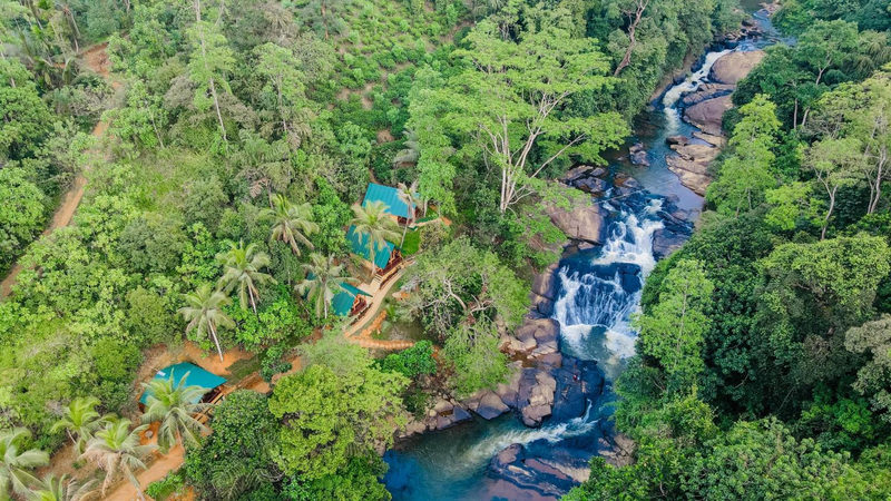 The Rainforest Hideaway