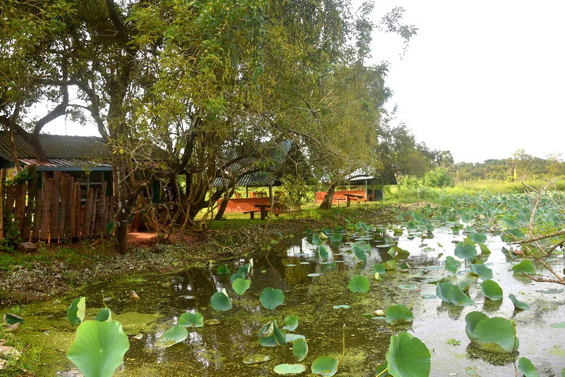 Meegahapokuna Resort