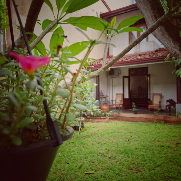 Room by the MANGO TREE