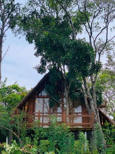 Kale Cottage Belihuloya