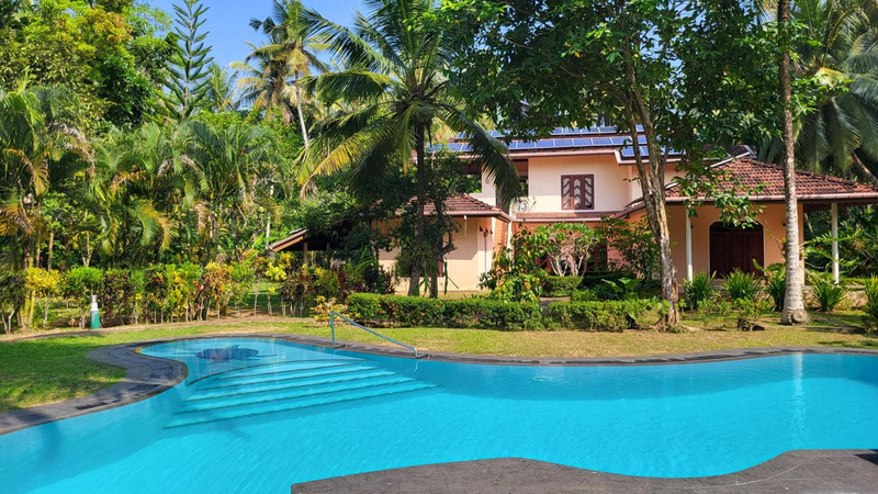 King Coconut Lodge