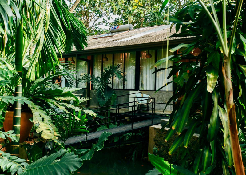Boho Jungle Studios