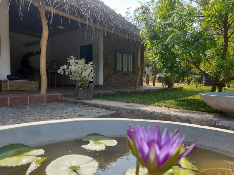 Gange Wadi Wilpattu