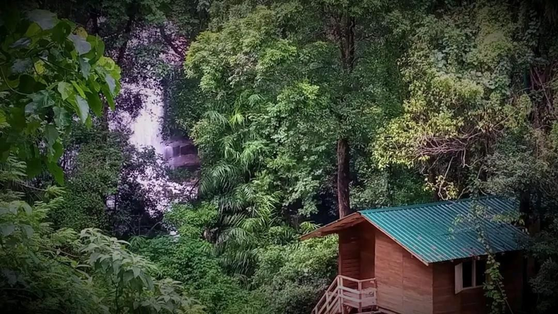 Knuckles Backpackers Hut with waterfall view