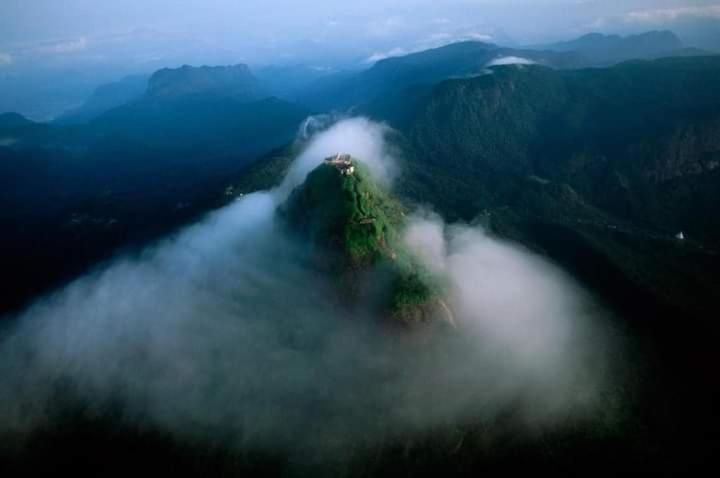 Green House Homestay Adamspeak