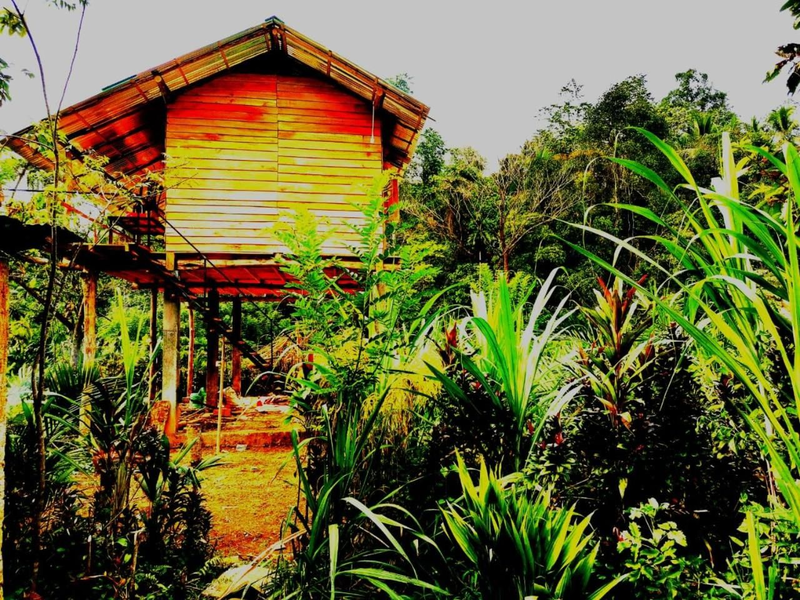 Aqua Cabins