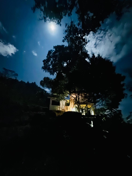 AVA tree house