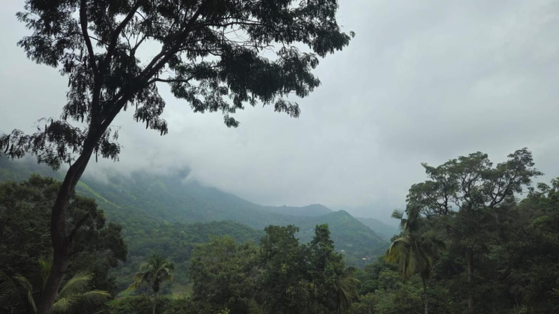 Mandara