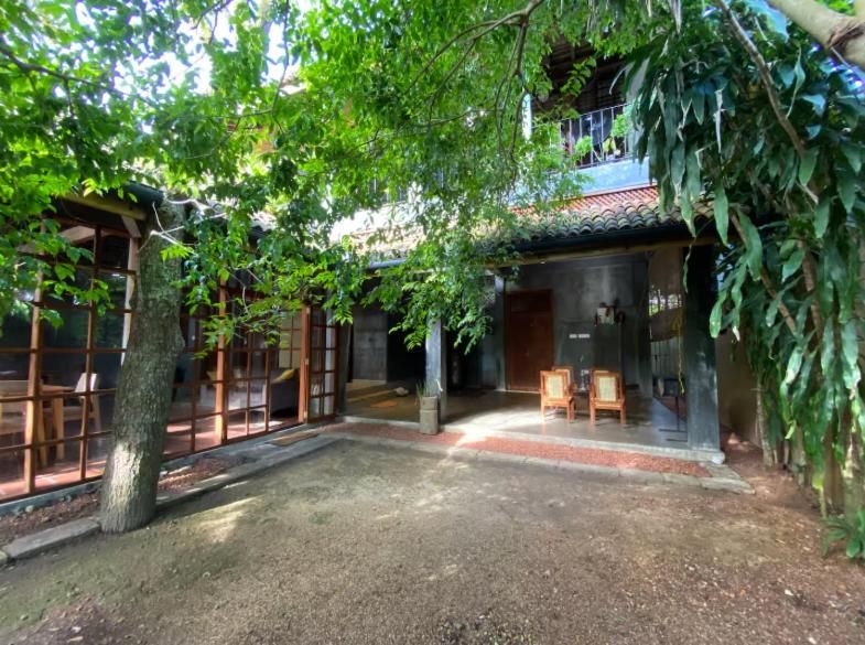 Golden Palm Villa