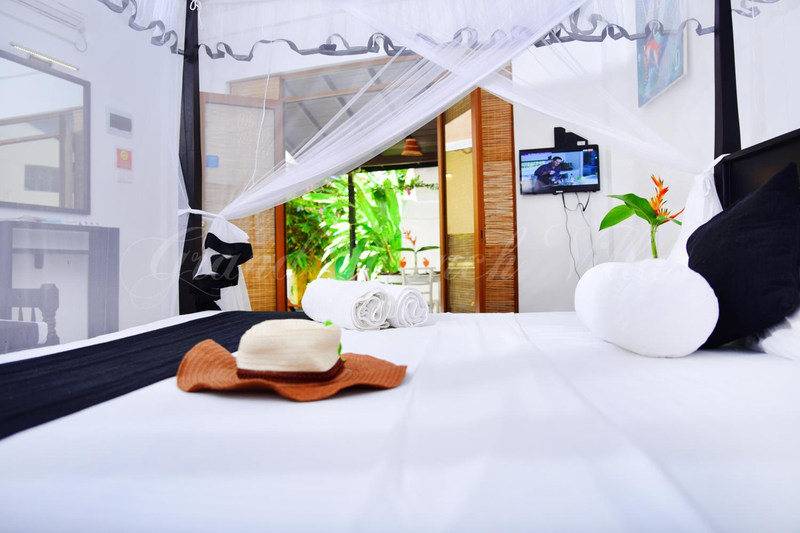 Conch Villa