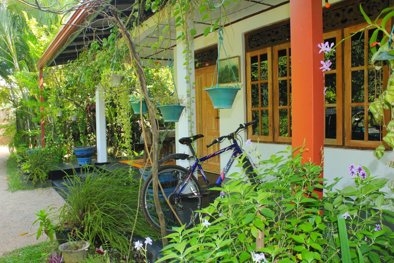 Nature Night Homestay