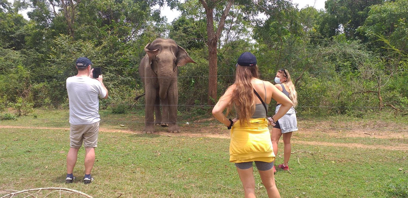 Nature Lovers Safari & Villa