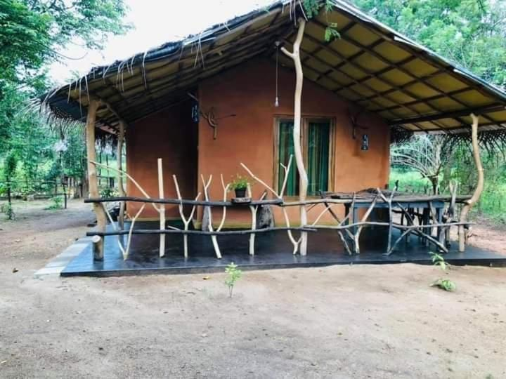 කැලෑව Jungle Eco Resort