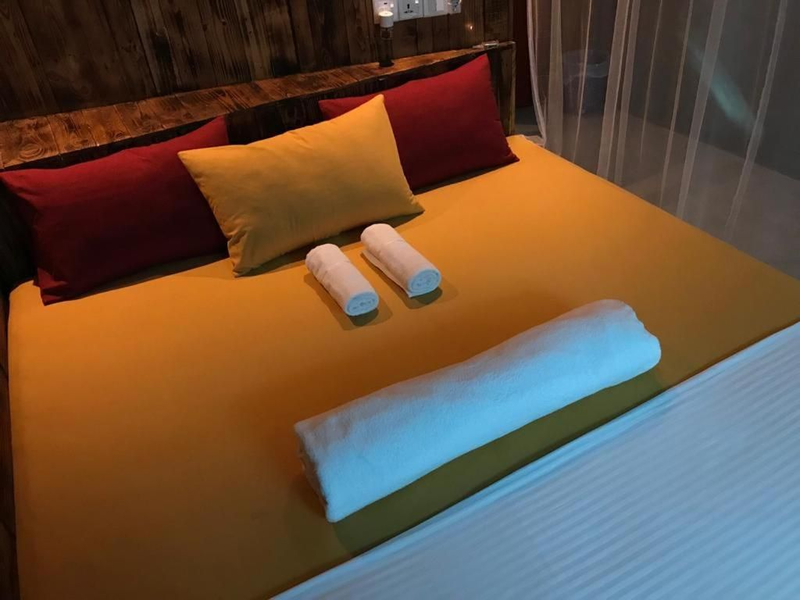 La pinchi " Pinchi's Bed "