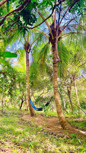Hakuna Matata Hostel