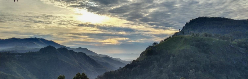 New Ella Nature View