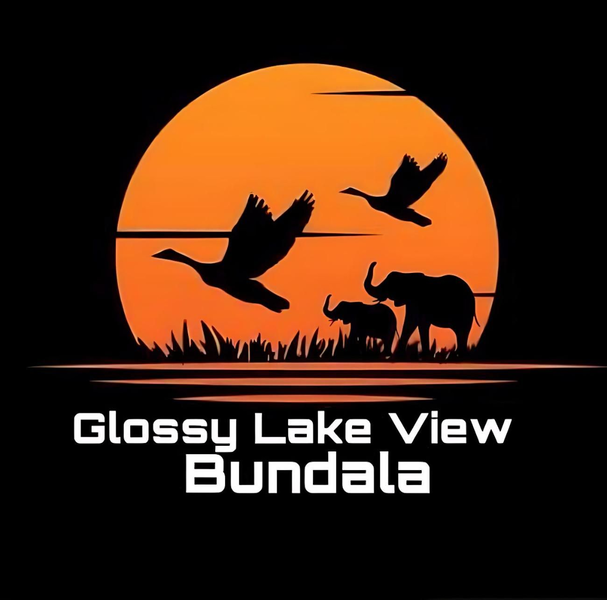 Glossy Lake View