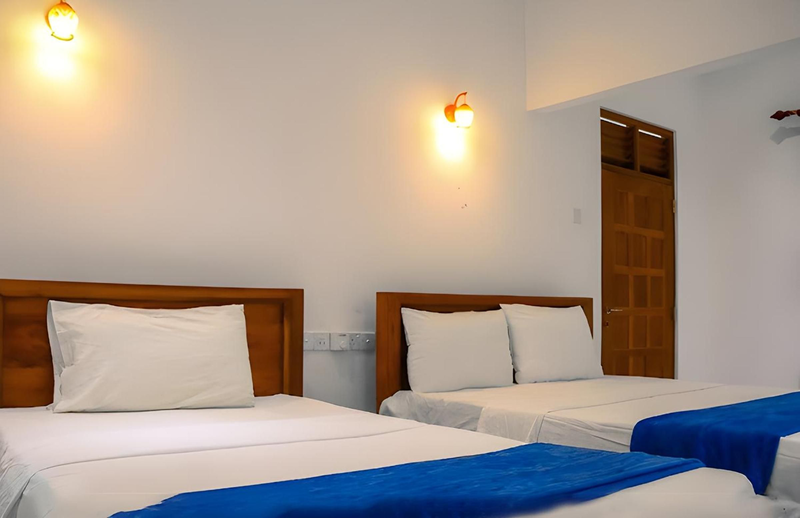 WildSky HomeStay