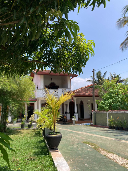 Costa's Villa, Tropical Oasis, Ella Room