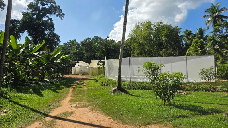Sandalanaka Rustic Vila