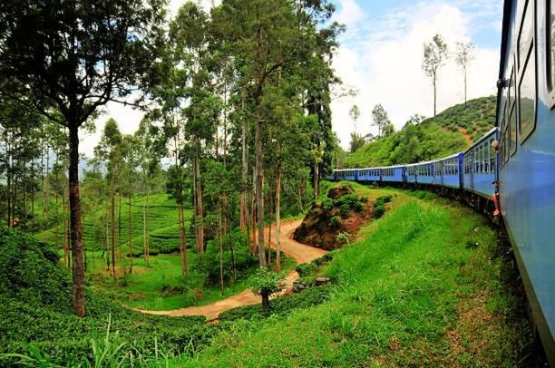 Beverly hills hotels & cafe Nuwara Elliya