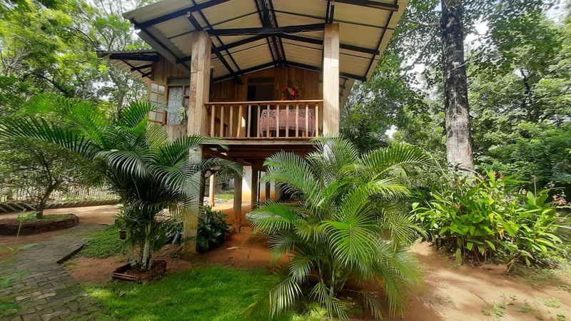 Ruk Sewana Villa Tree House