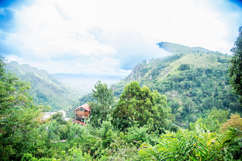 Minthu Homestay