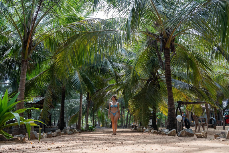 Sand Dune Beach Resort & Surf Camp