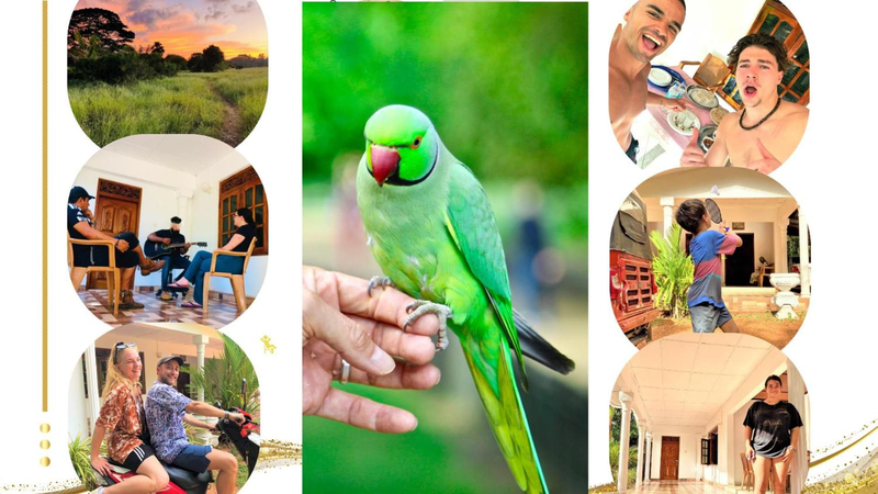 Grand Refuge Bird view Lake jogging Foods Bikes Tuk tuk & free city tour guidence