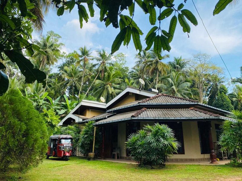 Green nature villa