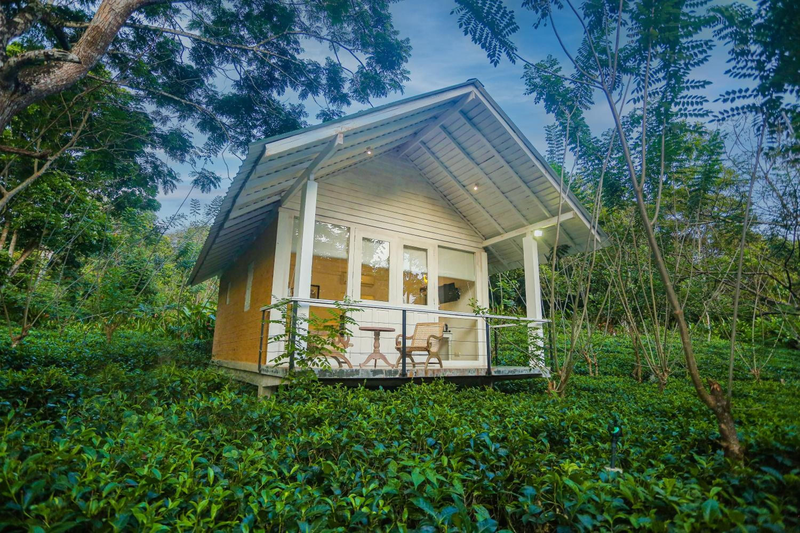Ilukketiya Tea Chalets - Melagoda, Wanchawala
